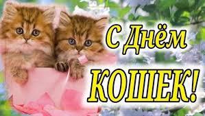 Фото С Днем кошек: открытки и картинки к 1 марта 4